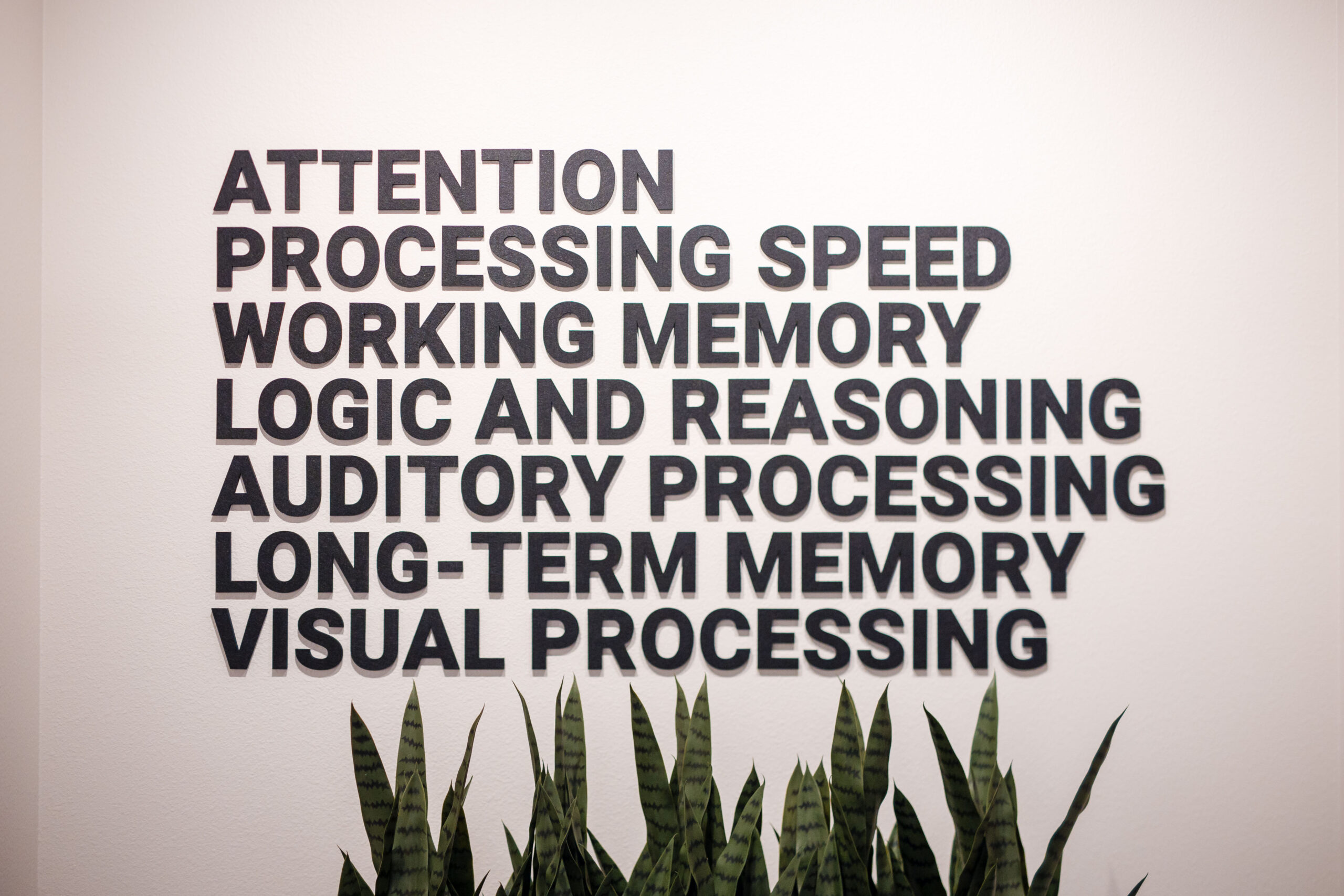 AuDHD, Dyslexia, and the Power of Cognitive Training